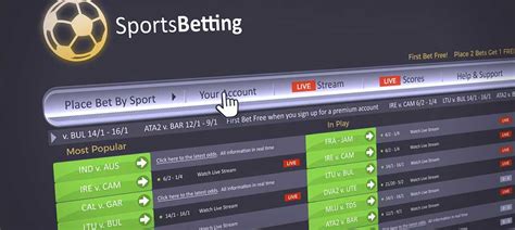 best sports book betting software